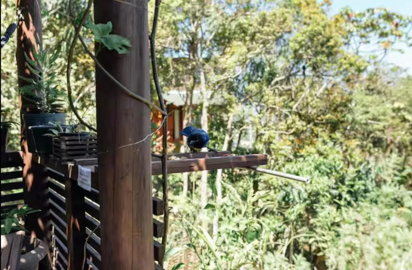 Nyaraló Chale Em Meio A Natureza Imbituba
